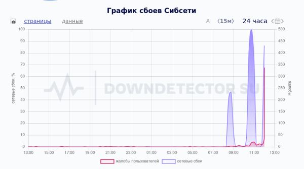 Новосибирский интернет-провайдер &laquo;Сибсети&raquo; сообщил о хакерской атаке на свои ресурсы