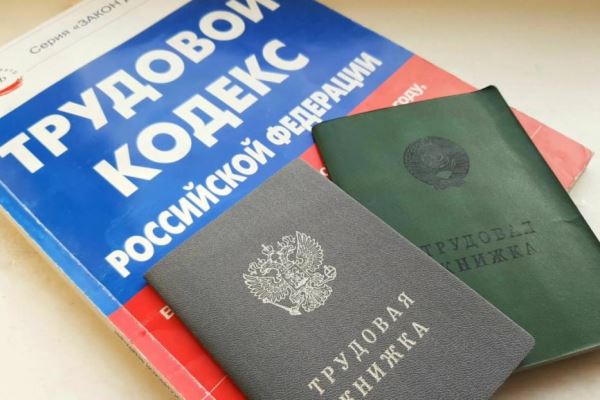 Правительство РФ разработало план противодействия нелегальной занятости