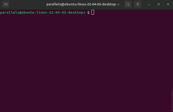 Представлен AdGuard v1.0 для Linux
